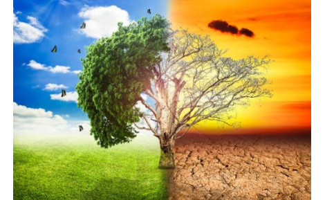 Florlu Sera Gazlarına İlişkin Yönetmelik